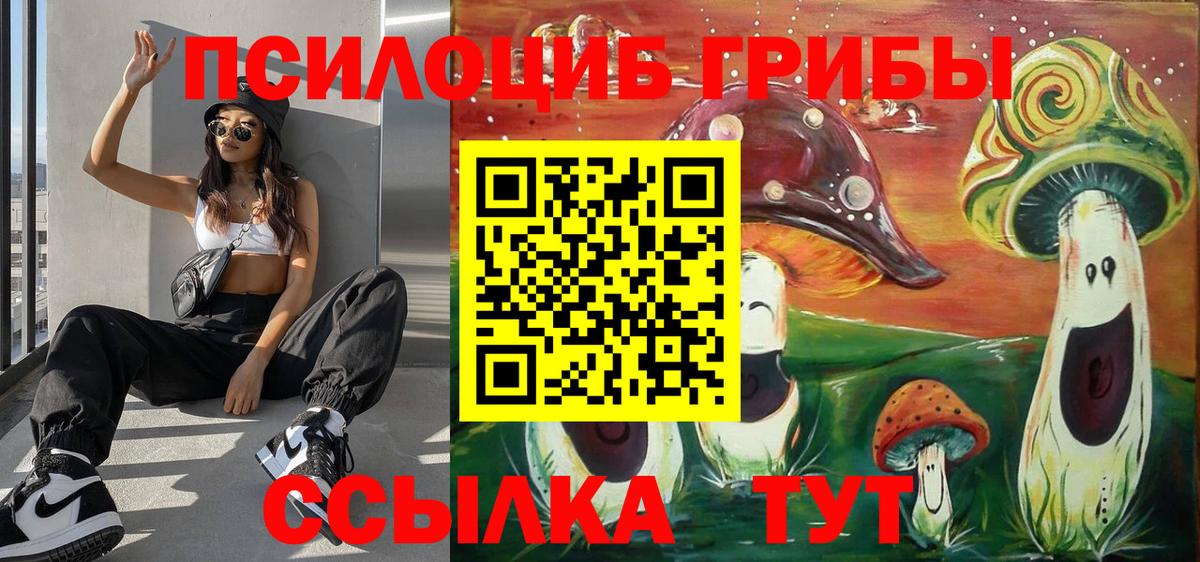 Галлюциногенные грибы Psilocybine cubensis  Псилоцибиновые грибы MAGIC MUSHROOMS  Вход с VPN  Боровичи 