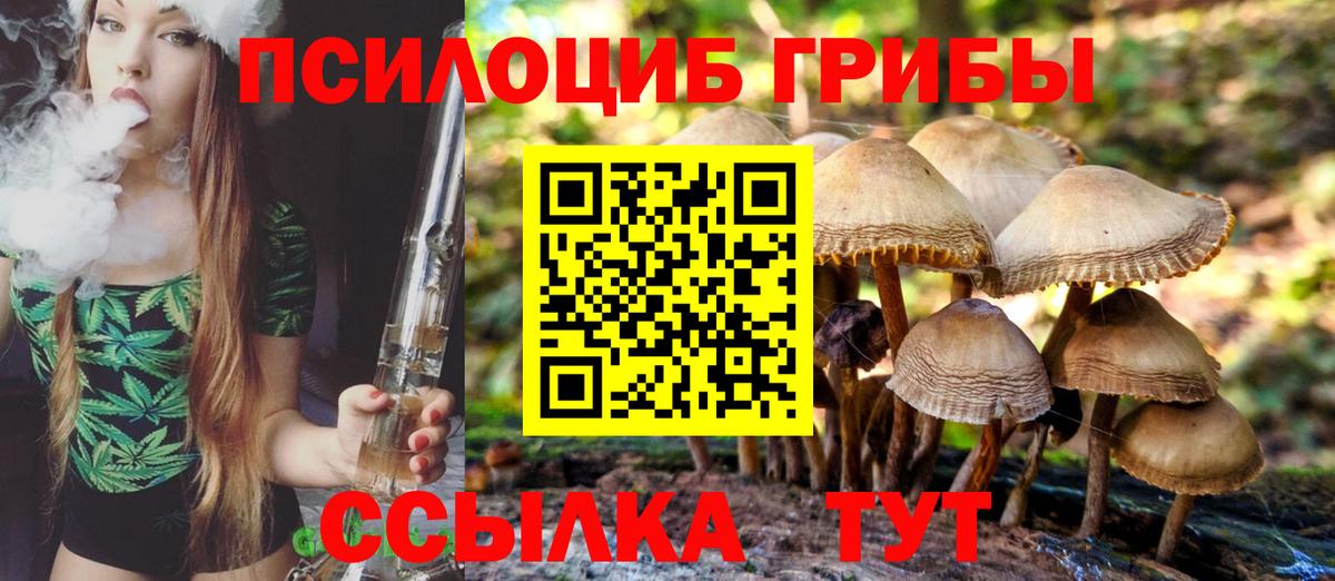 Галлюциногенные грибы Magic Shrooms Боровичи